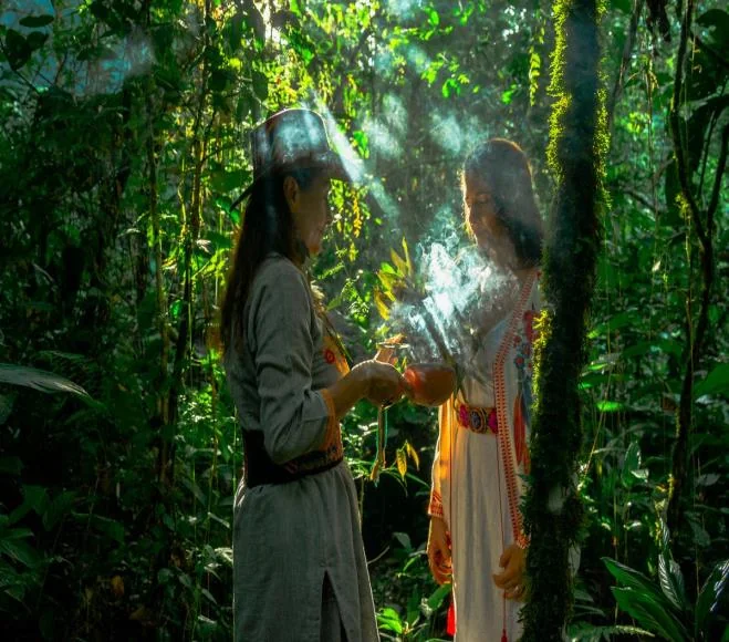Memorias del Bosque — Ancestral Medicine