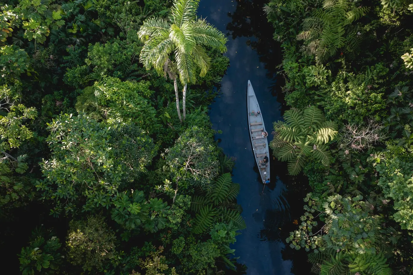 Nature Encounters in the Ecuadorian Amazon